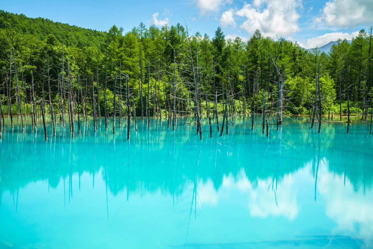 Blue pond Summer japan