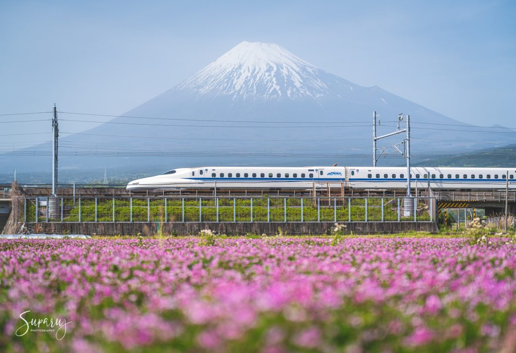 Fuji & Shinkansen 2