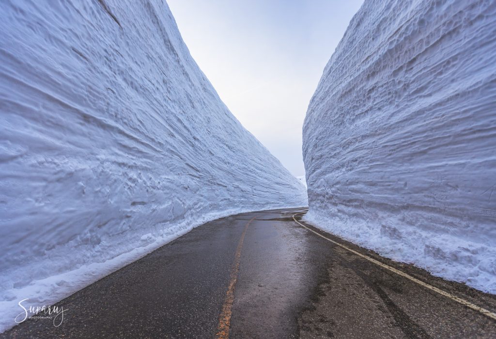 tateyama snow wall-2